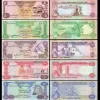 Buy Fake UAE Dirham